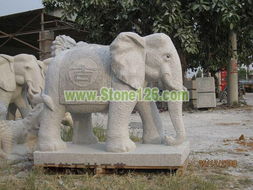 大象 產(chǎn)品展示 遠(yuǎn)航石材工藝 寺廟古建 人物 動物雕刻 園林噴水 藝術(shù)柱 龍柱 大型浮雕 建材欄桿等